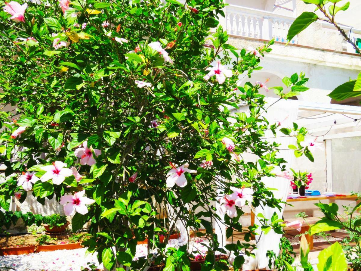 Panohome بورتو بينو المظهر الخارجي الصورة